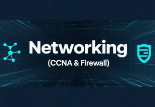 hunyuan-image-3.0_b_Networking_(CCNA_&_F